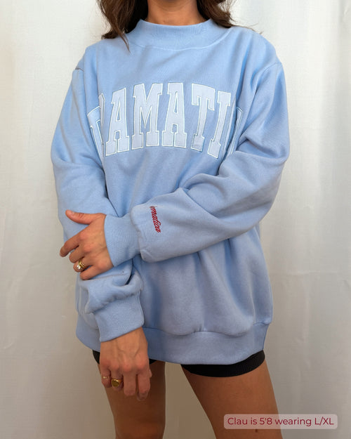 BABY BLUE SWEATSHIRT